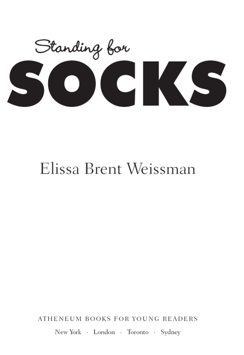 Cover image for book Standing for Socks