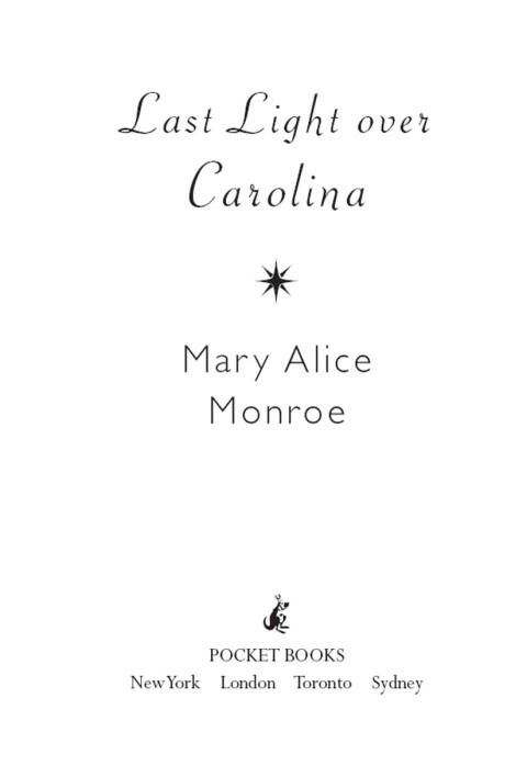 Cover image for book Last Light over Carolina