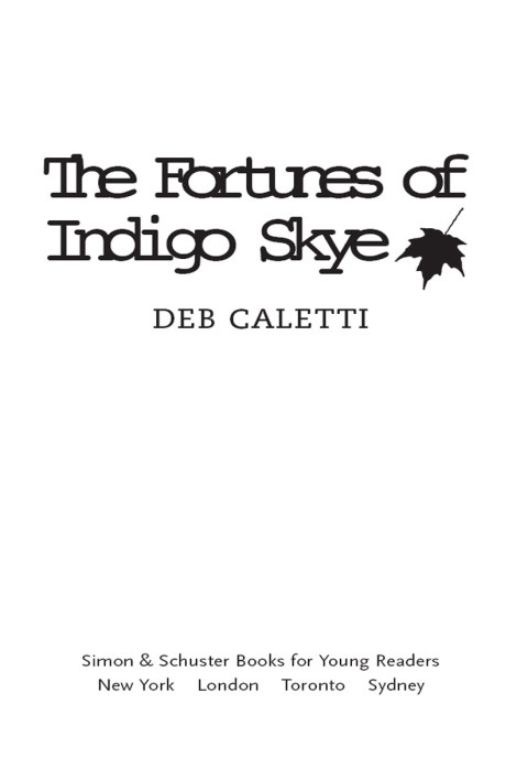 Cover image for book The Fortunes of Indigo Skye