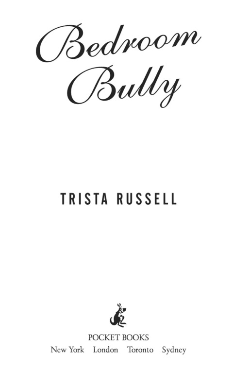 Cover image for book Bedroom Bully