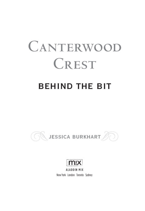 Cover image for book Behind the Bit