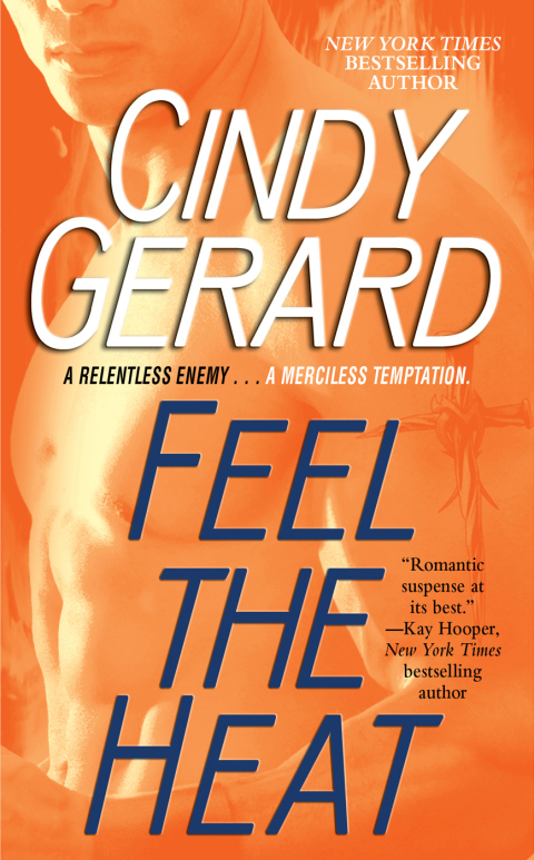 Cover image for book Feel the Heat