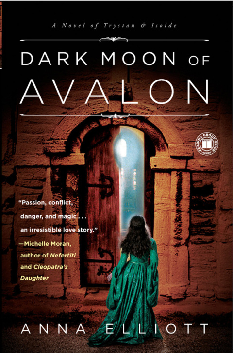 Cover image for book Dark Moon of Avalon