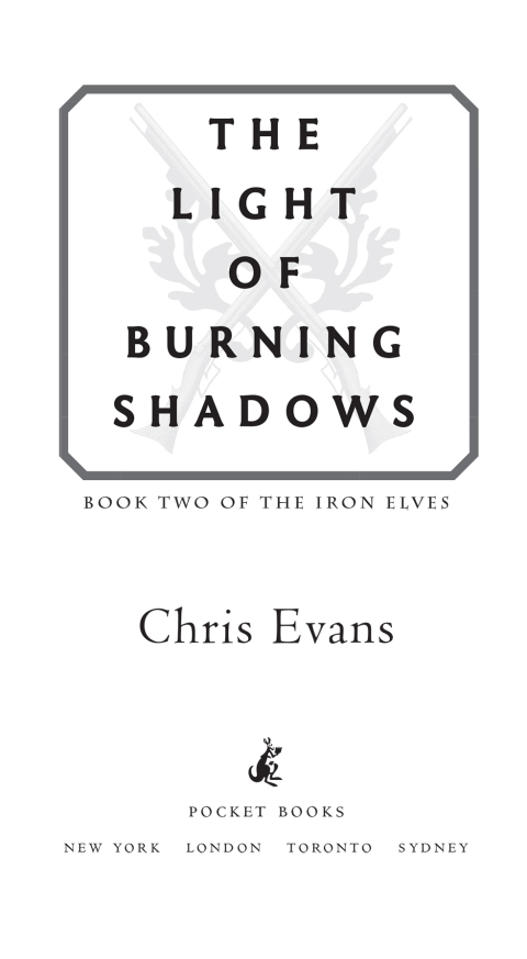 Cover image for book The Light of Burning Shadows