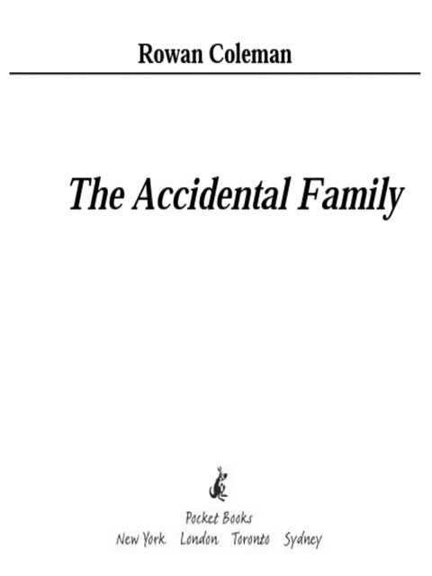 Cover image for book The Accidental Family