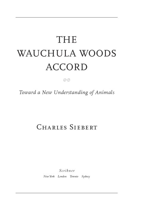 Cover image for book The Wauchula Woods Accord