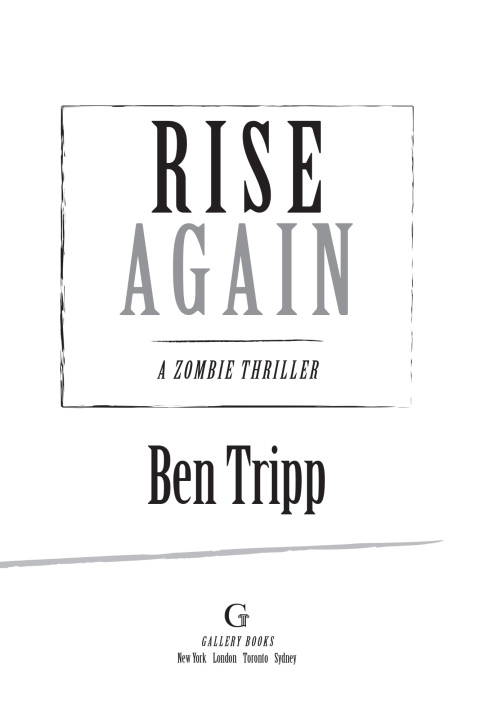 Cover image for book Rise Again
