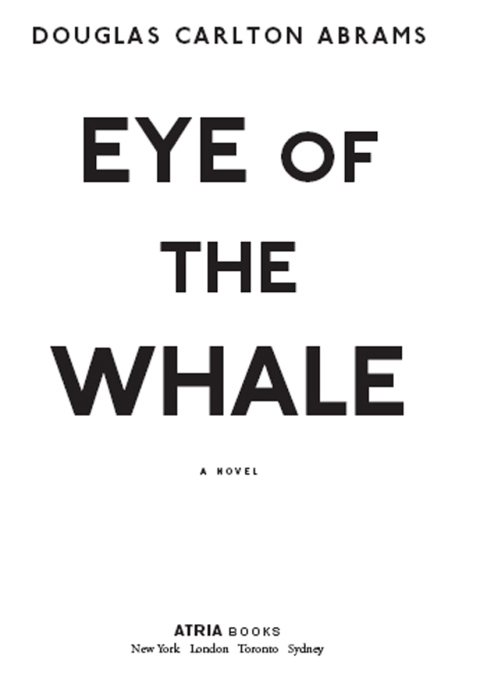 Cover image for book Eye of the Whale