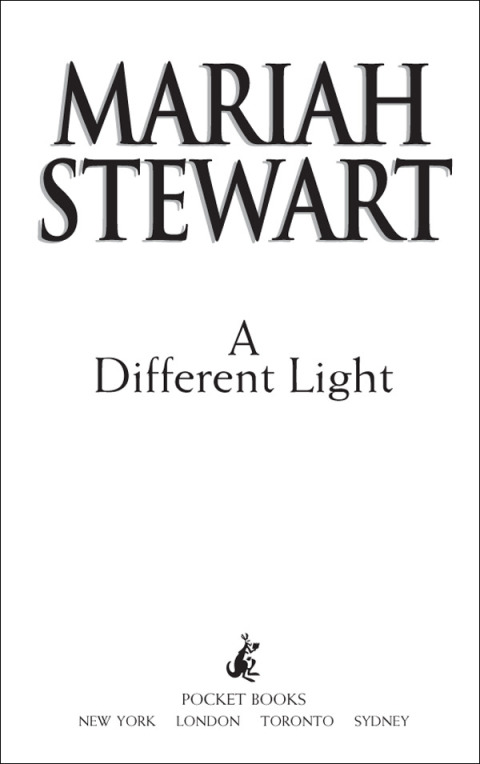 Cover image for book A Different Light