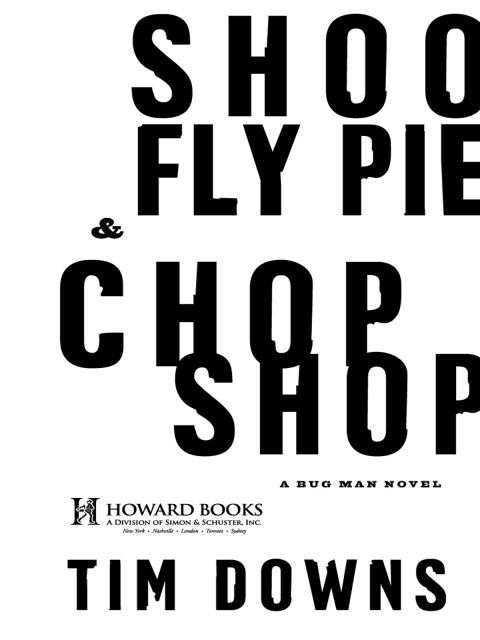 Cover image for book Shoofly Pie & Chop Shop