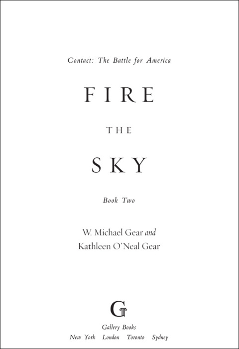 Cover image for book Fire the Sky