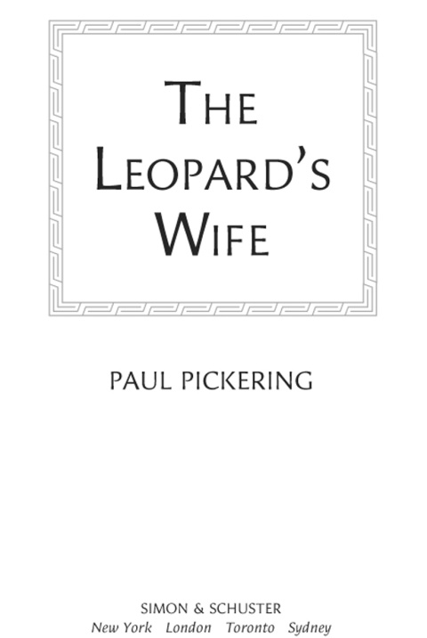 Cover image for book The Leopard's Wife