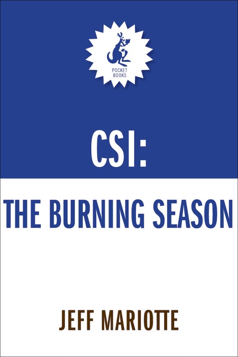 Cover image for book CSI: Crime Scene Investigation: The Burning Season