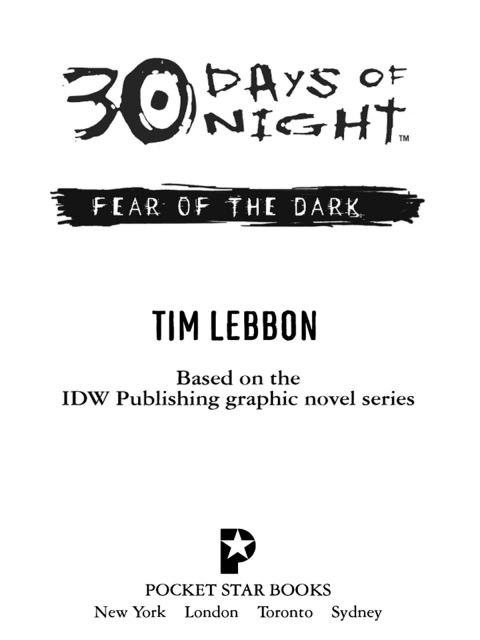 Cover image for book 30 Days of Night: Fear of the Dark