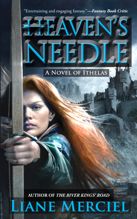 Cover image for book Heaven's Needle