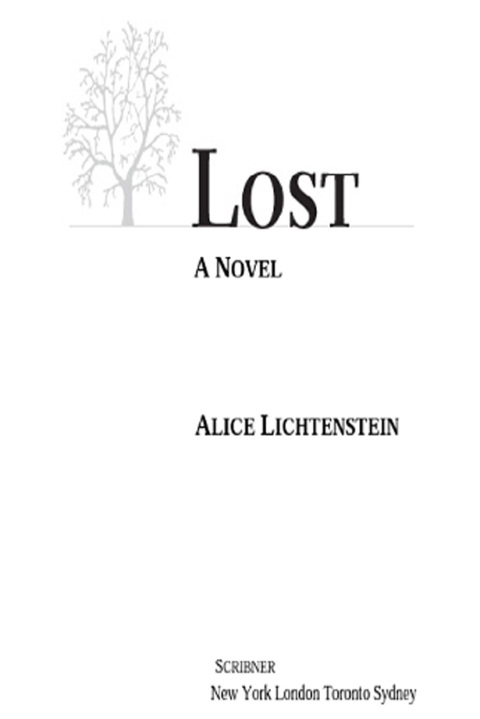 Cover image for book Lost