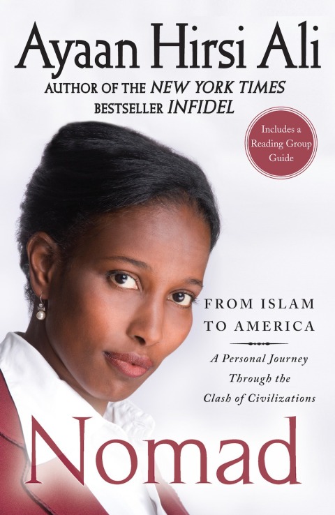 Cover image for book Nomad