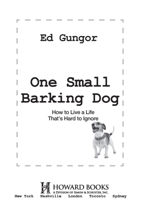 Cover image for book One Small Barking Dog