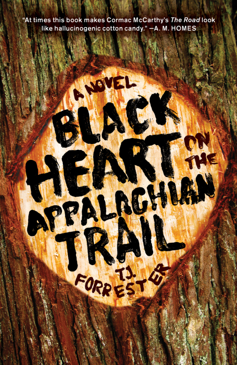 Cover image for book Black Heart on the Appalachian Trail