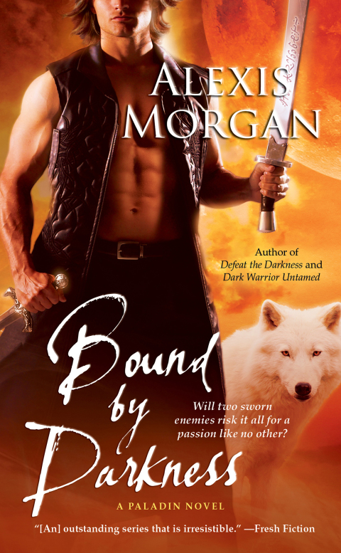 Cover image for book Bound by Darkness
