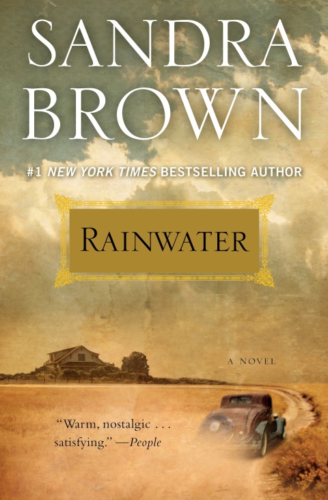 Cover image for book Rainwater