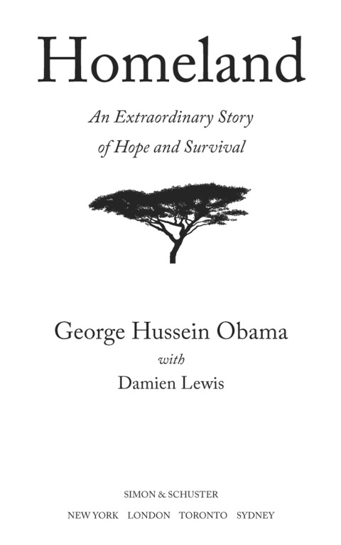 Cover image for book Homeland
