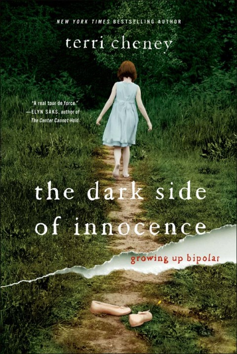 Cover image for book The Dark Side of Innocence