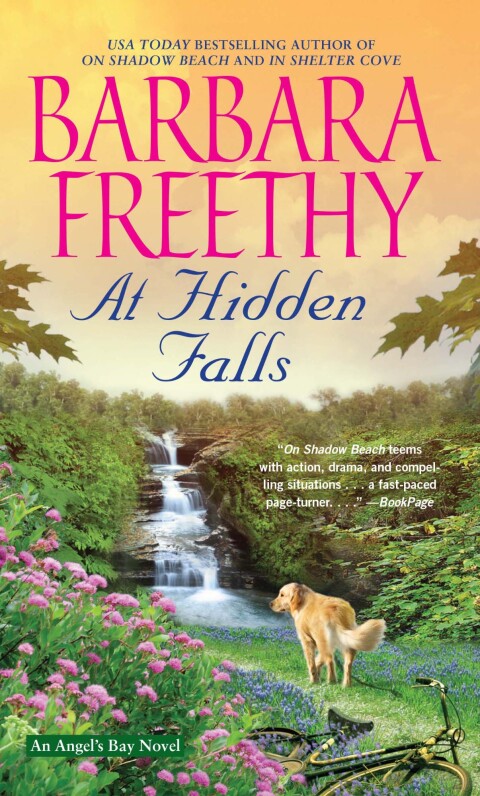 Cover image for book At Hidden Falls