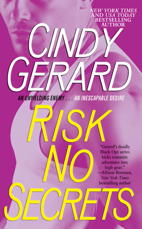 Cover image for book Risk No Secrets