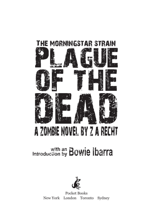 Cover image for book Plague of the Dead