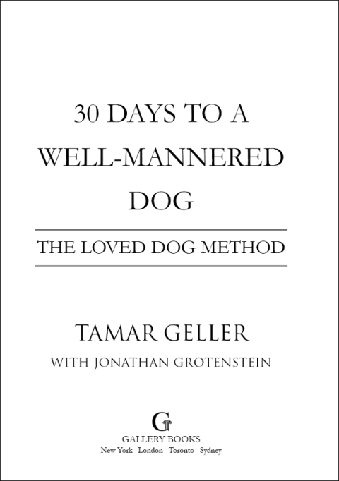 Cover image for book 30 Days to a Well-Mannered Dog