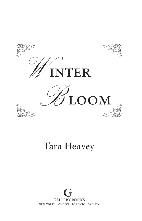 Cover image for book Winter Bloom