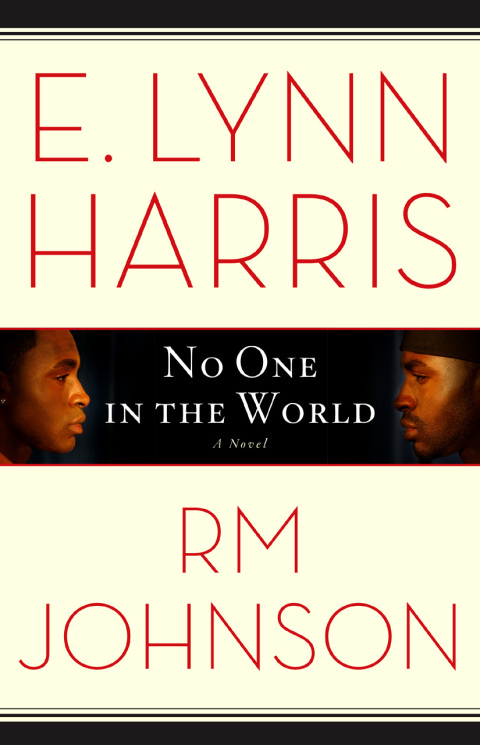 Cover image for book No One in the World