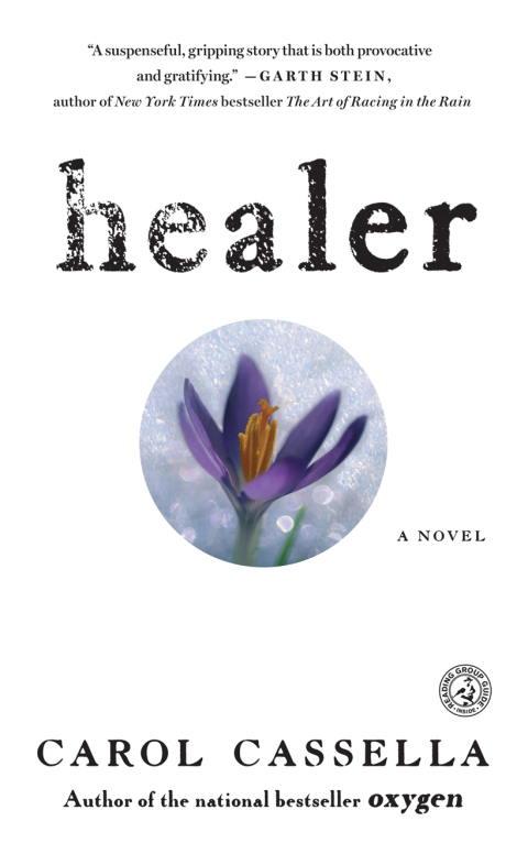 Cover image for book Healer