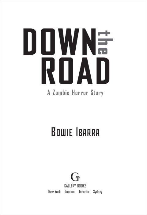 Cover image for book Down the Road