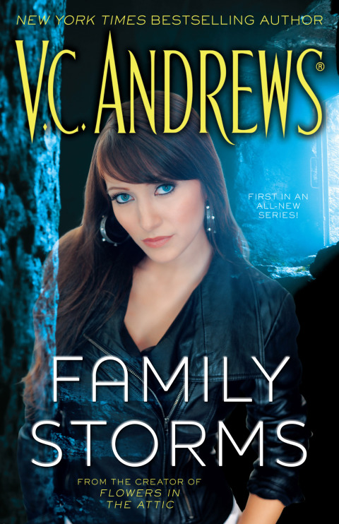 Cover image for book Family Storms