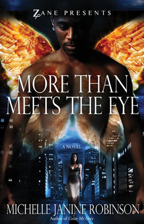 Cover image for book More Than Meets the Eye