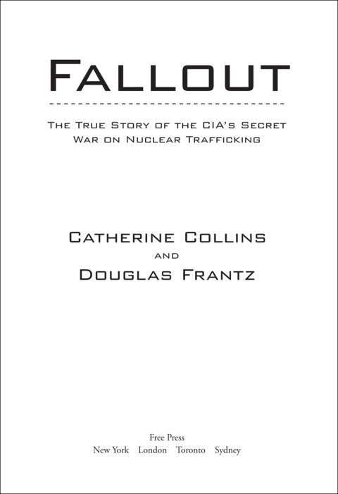 Cover image for book Fallout