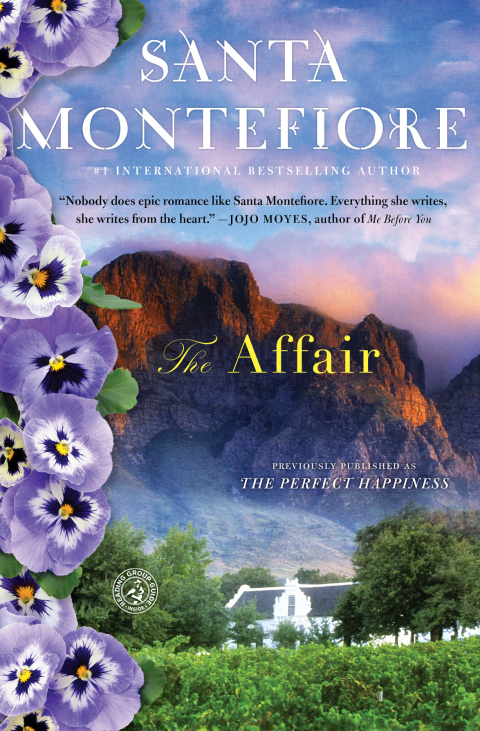 Cover image for book The Affair