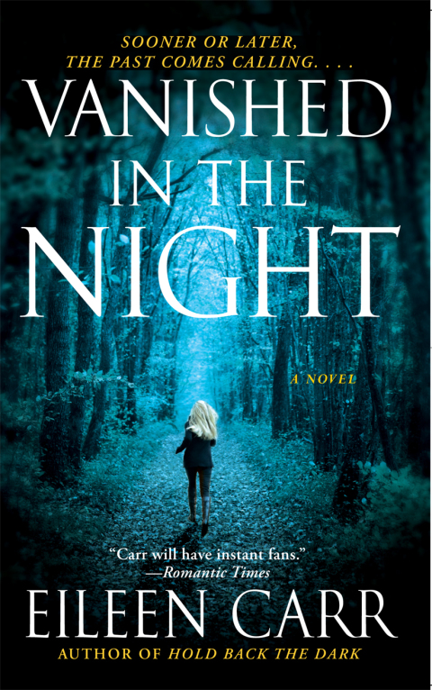 Cover image for book Vanished in the Night