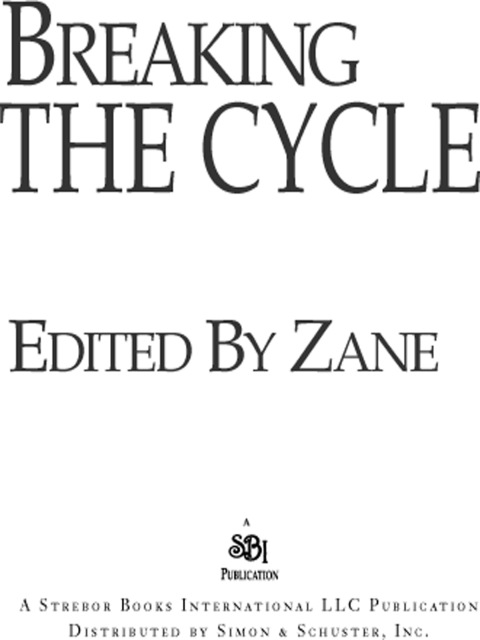 Cover image for book Breaking the Cycle