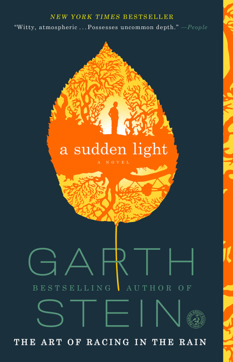 Cover image for book A Sudden Light