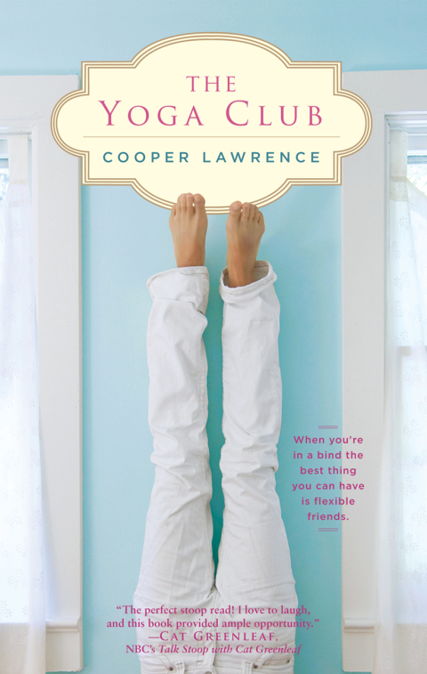 Cover image for book The Yoga Club