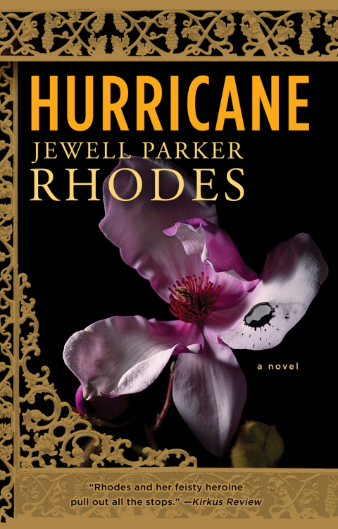 Cover image for book Hurricane
