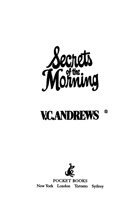 Cover image for book Secrets of the Morning