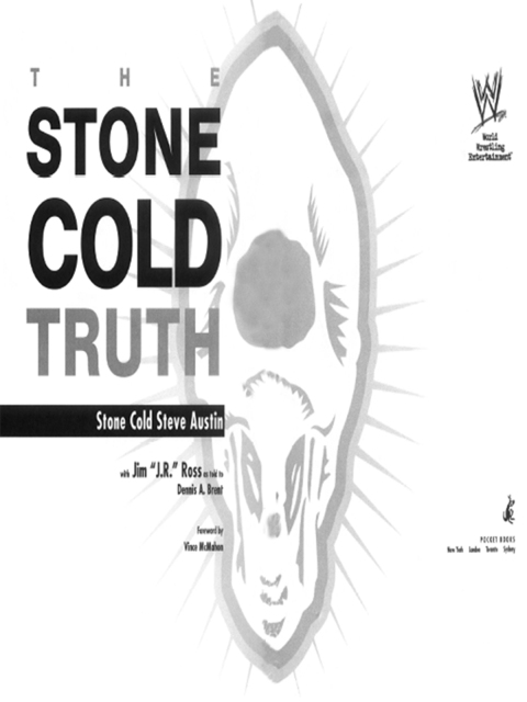 Cover image for book The Stone Cold Truth