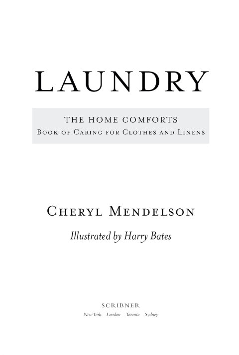 Cover image for book Laundry