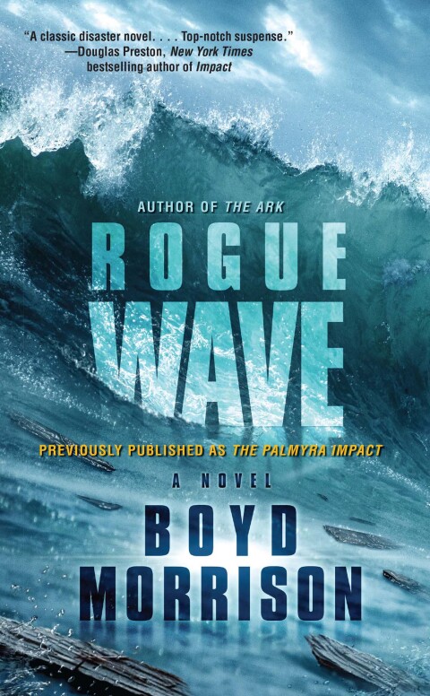 Cover image for book Rogue Wave
