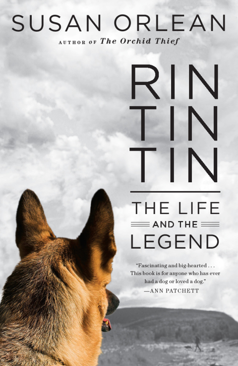 Cover image for book Rin Tin Tin