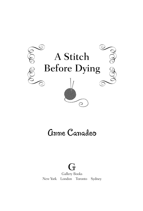 Cover image for book A Stitch Before Dying